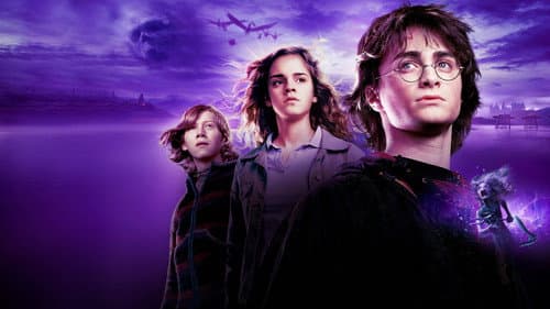 Harry Potter und der Feuerkelch Bild 8