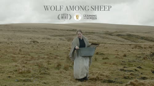 Wolf Among Sheep Bild 1