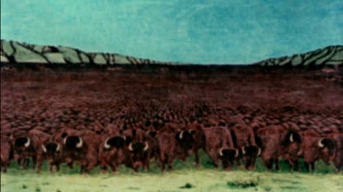The Great Buffalo Saga Bild 3