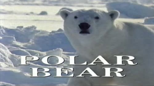 Predators of the Wild: Polar Bear Bild 1