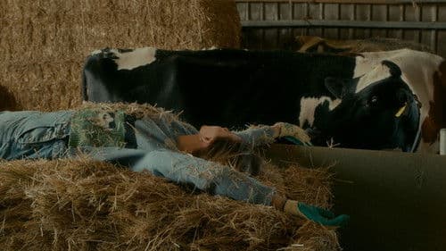 Rose à la ferme Bild 4