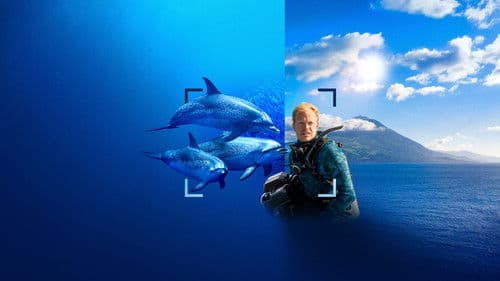 Delfine hautnah mit Bertie Gregory Bild 6