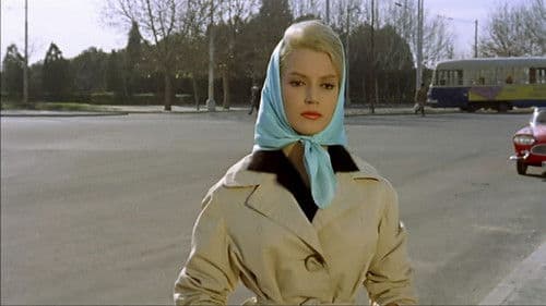 Margarita se llama mi amor Bild 1