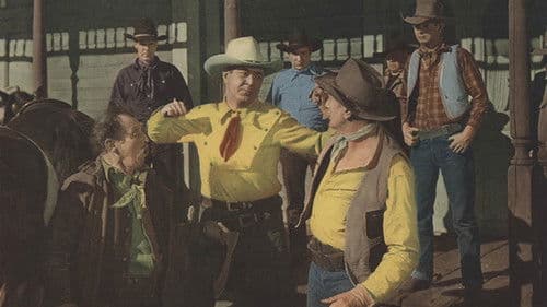 Under Arizona Skies Bild 1