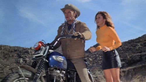 Die wilden Schläger von Rockers-Town Bild 3