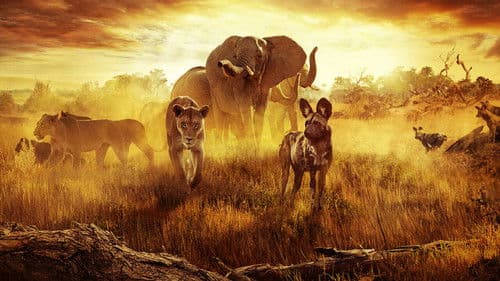 Überleben im Paradies: Eine Familiengeschichte Bild 2