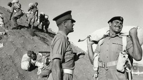 Ein Haufen toller Hunde Bild 8