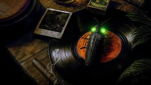 CUBA COOCUYO REMIX Bild 1