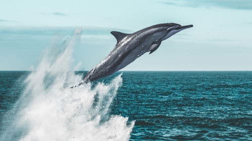 Living Waters Bild 1