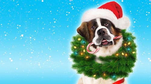 Beethovens abenteuerliche Weihnachten Bild 3