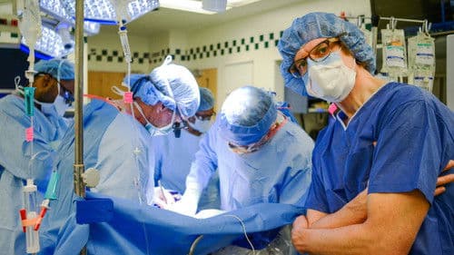 Zurück von den Toten Bild 3