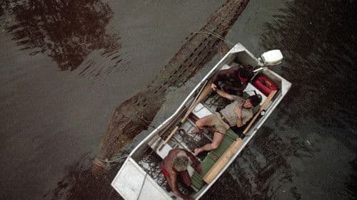 Dark Age - Crocodile Hunter Bild 2