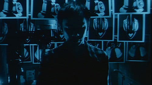 A Snake of June Bild 4