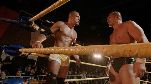 School of Hard Knocks Bild 1