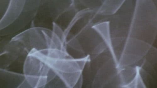 Comingled Containers Bild 2