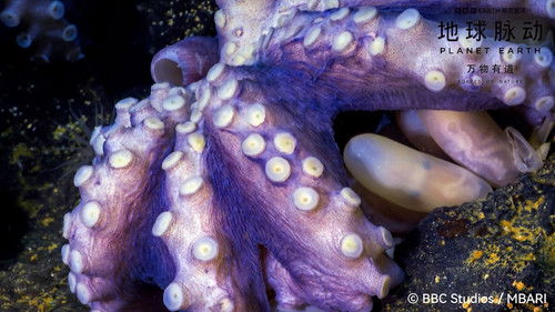 Planet Earth: Forces of Nature Bild 1