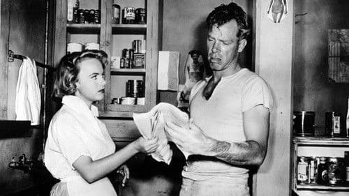 Shack Out on 101 Bild 4