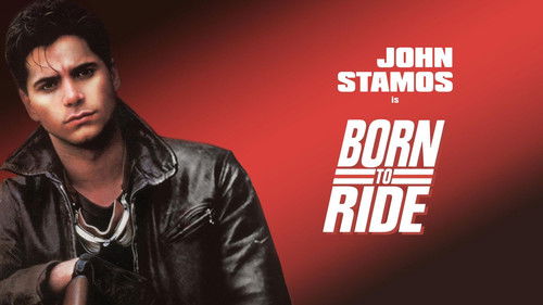 Born to Ride Bild 3