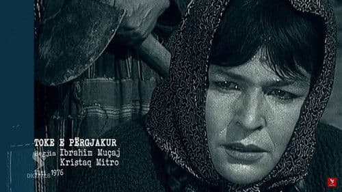 Tokë e përgjakur Bild 1