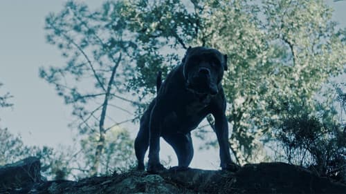 Outside Is Free Bild 3