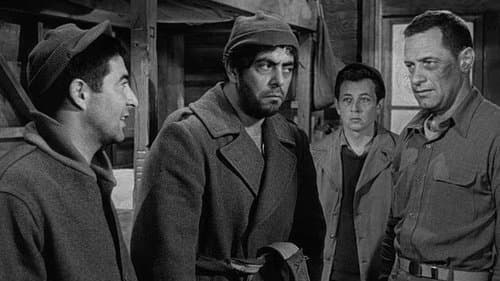 Stalag 17 Bild 2