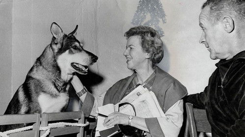 Der kleine Vagabund Bild 2