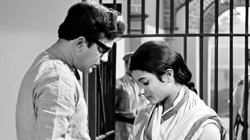 এখানে পিঞ্জর Bild 4