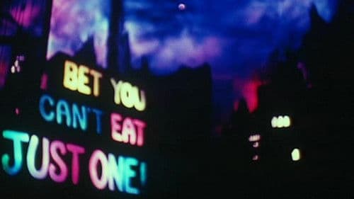 Pink Narcissus Bild 4