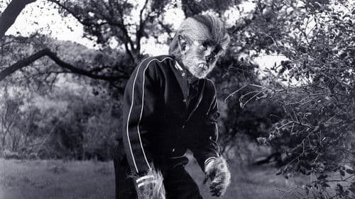 Der Tod hat schwarze Krallen Bild 8