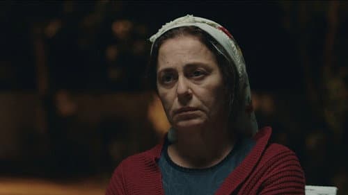 Annemin Solgun Çiçekleri Bild 1