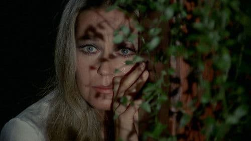 Das Antlitz des Todes Bild 1