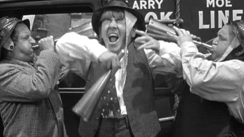 Cookoo Cavaliers Bild 1