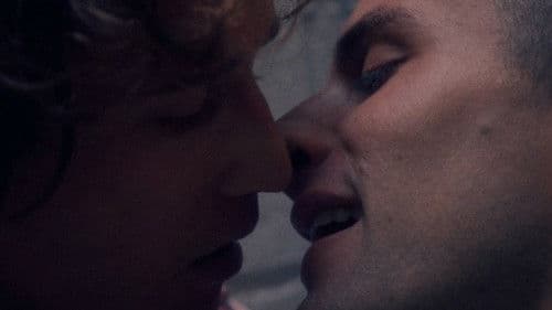 Pet Shop Days Bild 2