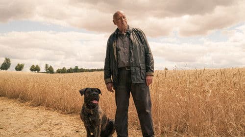 Unterleuten - Das zerrissene Dorf Bild 2