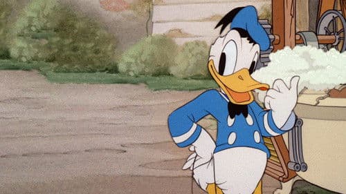 Donalds Hunde-Waschmaschine Bild 5