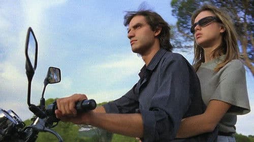 Das Rote Eichhörnchen Bild 2