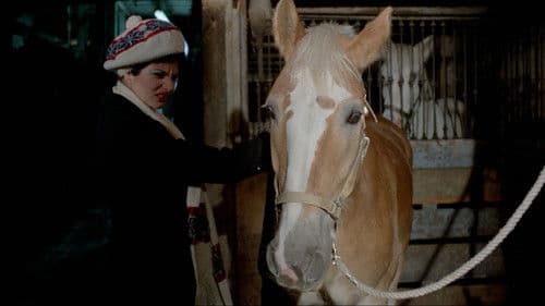 Liquid A$$ets Bild 1