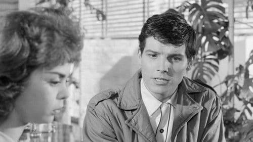 Friends and Neighbours Bild 3