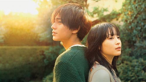 夕暮れに、手をつなぐ Bild 2