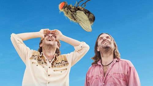 Eine Fliege kommt selten allein Bild 7