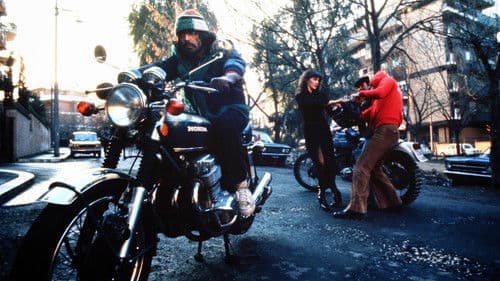 Die Strickmütze Bild 1