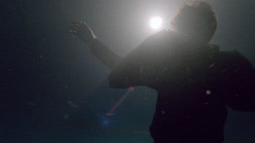 Knight of Cups Bild 8