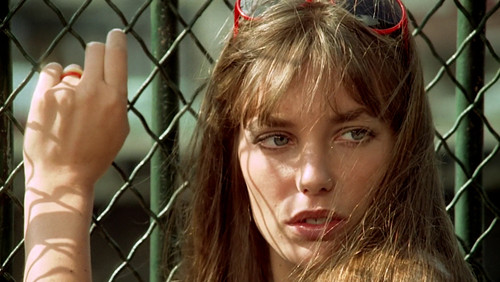 Das wilde Schaf Bild 3