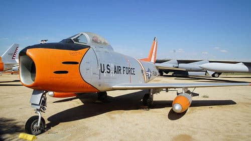 Survival in the Skies Bild 2