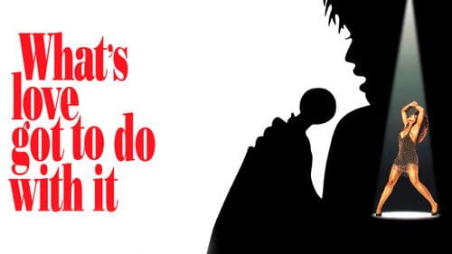 Tina - What's Love Got to Do with It Bild 7