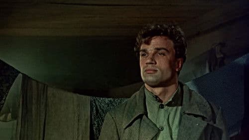 Der Kommunist Bild 2