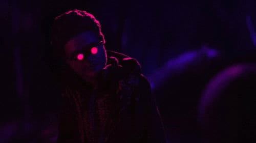 Remember To Enjoy The Light Before It’s Gone Bild 6