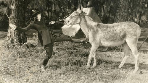 Little Miss Rebellion Bild 1