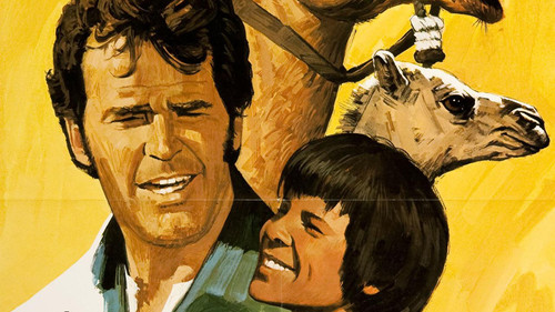 Ein Kamel im Wilden Westen Bild 3