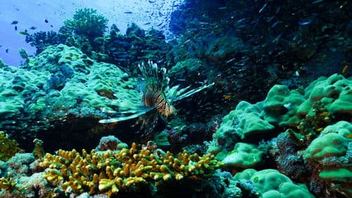 Feindselige Erde Bild 8